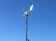 3 van de de Turbine300w het Kleine Macht van de bladenwind van de de Windgenerator Opstarten van de het Hoge rendement Lage Wind voor Huis voor Straatlantaarn